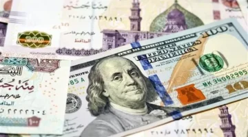 تحديثات الصرف.. سعر الدولار أمام الجنيه في ختام تعاملات البنوك المصرية اليوم